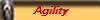 Agility